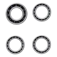 CeramicSpeed Zipp-5 Coated Lager CeramicSpeed Zipp-5 Coated Lager
