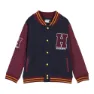 Cerda Group Cotton Brushed Harry Potter Sweatshirt, Dark blue, 7Y
