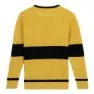Cerda Group Harry Potter Pullover Refurbished, Yellow, L