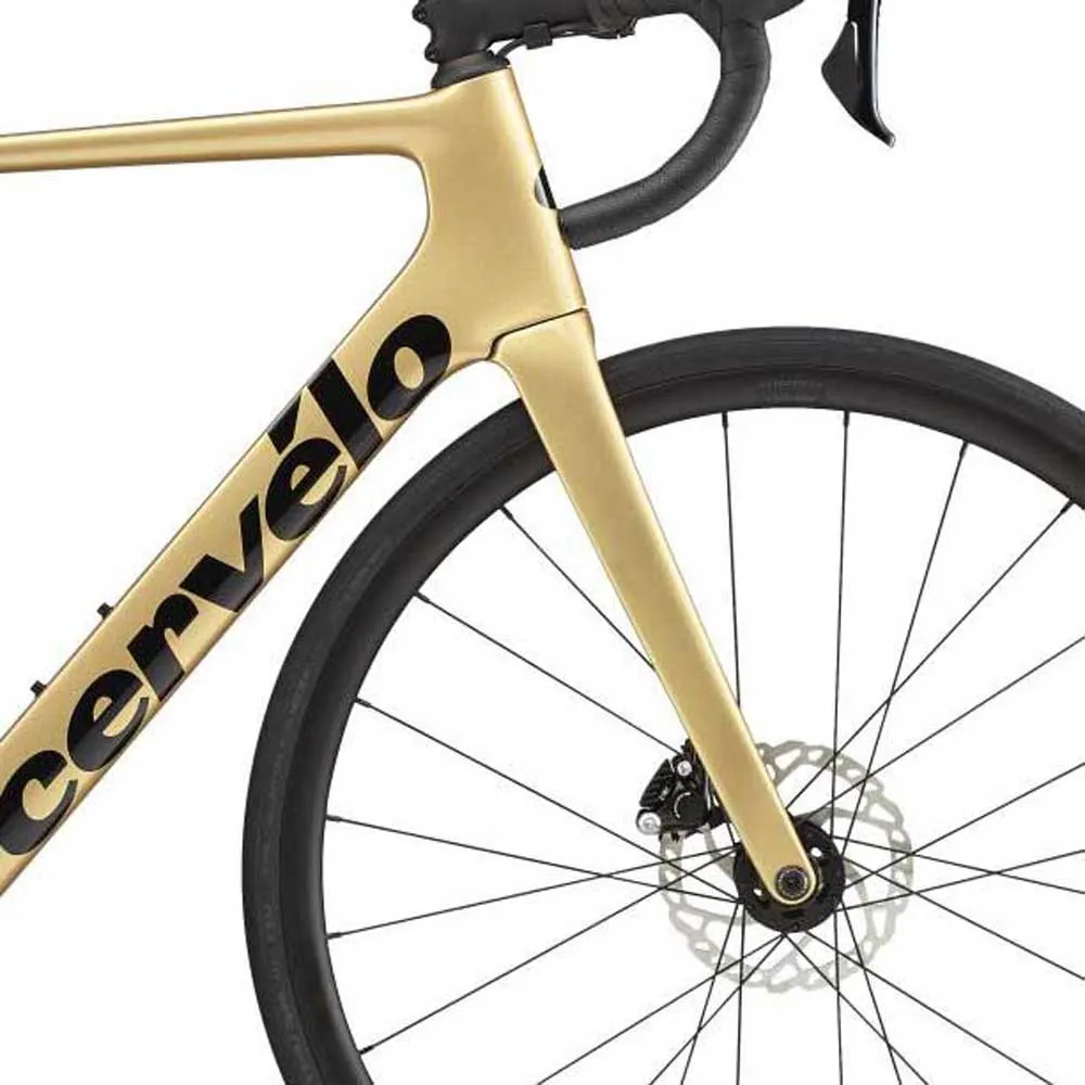 Cervélo Soloist 105 R7000 2023 Rennrad, Gold dust Cervélo Soloist 105 R7000 2023 Rennrad, Gold dust