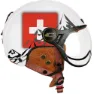 CGM 801c Ebi Svizzera Stadthelm