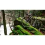 Challenge Open Gravine 260 Tpi Tubeless 700c X 45 Gravelreifen