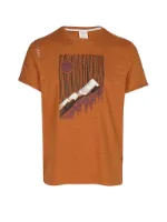 Chillaz Herren Klettershirt Sunny Mountains