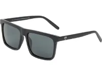 CHPO Bruce Brille