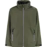 Basic green