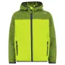 Limegreen
