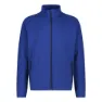 Bluish