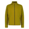 Fir green