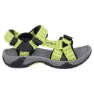 Lime green