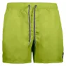 Limegreen