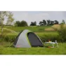 Coleman Darwin Zelt, Multicolor, 2PL