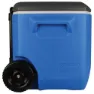 Coleman Performance 56l Steife Tragbare Kühlbox, Black / blue, One Size