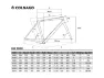 Colnago C68 Komplettrad Rennrad SHIMANO Ultegra DI2 8100 Disc Fulcrum Racing 600 DB, Hrwh 1