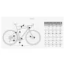 Coluer Arenal 4.4 Apex 2024 Gravelbike
