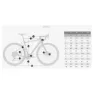 Coluer Arenal 6.5 Grx800 1x12s 2024 Gravelbike