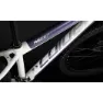 Coluer Ascent 292 29´´ Altus 2023 Mountainbike