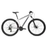 Coluer Ascent 292 29´´ Altus 2023 Mountainbike