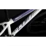 Coluer Ascent 294 29´´ Altus 2023 Mountainbike