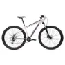 Coluer Ascent 294 29´´ Altus 2023 Mountainbike