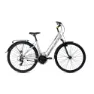 Coluer Belladonna 28´´ 2022 Fahrrad, Grey, M