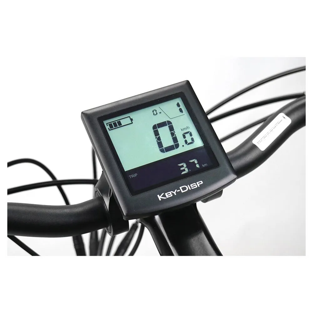Coluer Greenland 28´´ 2024 Elektrofahrrad Coluer Greenland 28´´ 2024 Elektrofahrrad