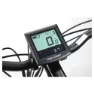 Coluer Greenland 28´´ 2024 Elektrofahrrad