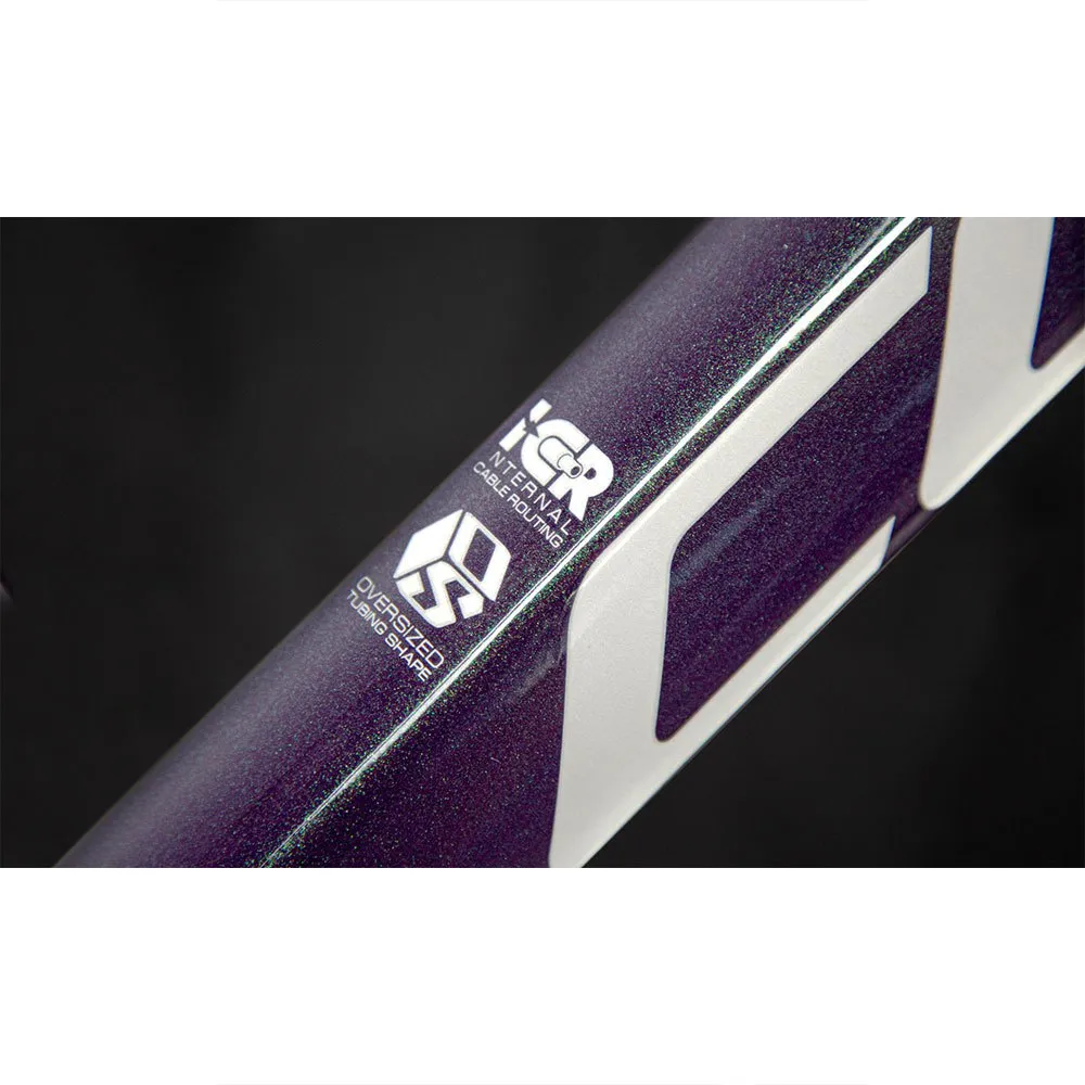 Coluer Limbo 298 29´´ Sx Eagle 2023 Mountainbike, Purple / green, L