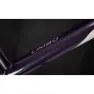 Coluer Limbo 298 29´´ Sx Eagle 2023 Mountainbike, Purple / green, L