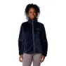 Collegiate navy