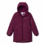Marionberry