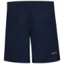 Collegiate navy