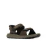 Cordovan / black