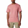 Pink agave / csc box logo