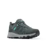 Graphite / teal