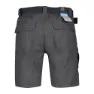 Columbia Silver Ridge Ii Kurze Hose
