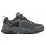 Dark grey / gold
