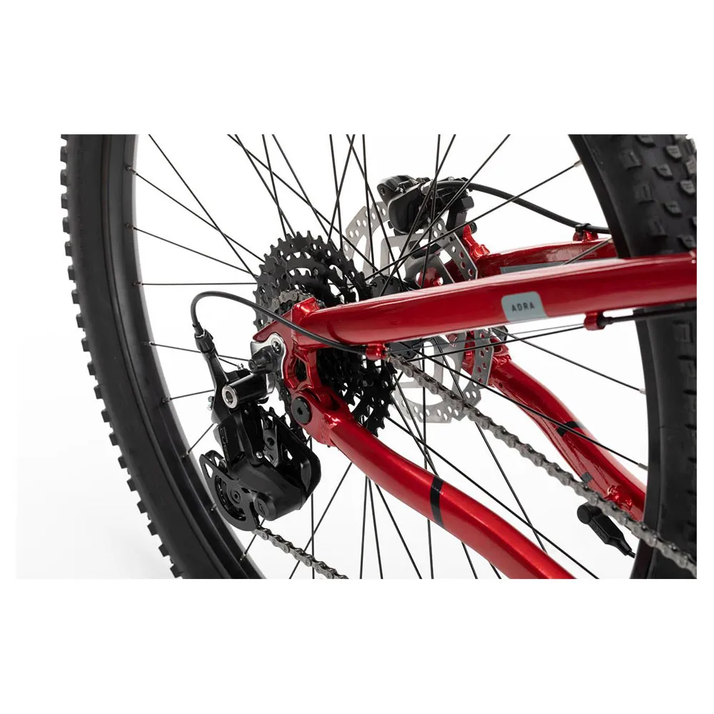 Conor Adra Vinka E20 29´´ Cues U4000 Elektrische Mountainbike Conor Adra Vinka E20 29´´ Cues U4000 Elektrische Mountainbike