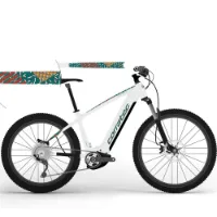 Corratec E-power X-vert Cx6 Ltd Gent 29´´ 2023 Elektrische Mountainbike Corratec E-power X-vert Cx6 Ltd Gent 29´´ 2023 Elektrische Mountainbike