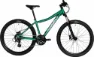 Corratec X Vert Rock Green/Cool Gray/White 26" Diamant, Hersteller-green/cool gray/white, 39cm