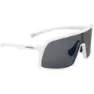 COSMO Lander Evolution L Sonnenbrille