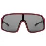 COSMO Lander Evolution S Photochrome Sonnenbrille