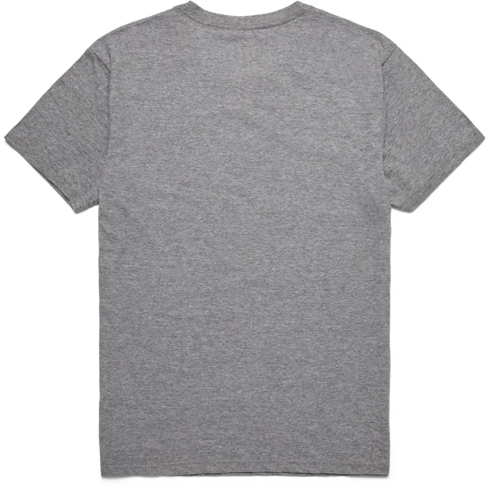 Cotopaxi Altitude Llama Kurzarm-t-shirt, Heather grey