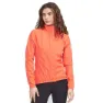 Craft Core Endur Hydro Lumen Jacke