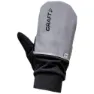 Silver / black