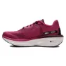 Craft Pro Endur Distance Laufschuhe female