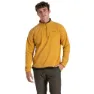Warbler yellow