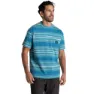 Tranquil blue stripe