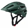 Green / metallic matt