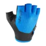 Black / blue