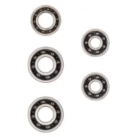 CYCLINGCERAMIC Mavic 6 Radlagersatz